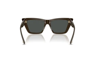 Achteraanzicht Jimmy Choo JC5028 (506087)