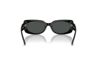 Achteraanzicht Jimmy Choo JC5029U (500087)