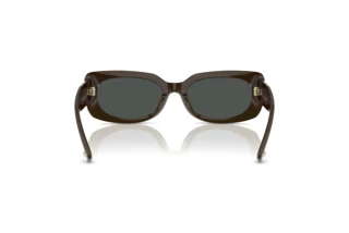 Achteraanzicht Jimmy Choo JC5029U (506087)