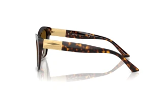 Zijaanzicht Jimmy Choo JC5031 (5002T5)