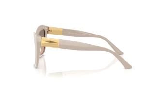 Zijaanzicht Jimmy Choo JC5031 (50336I)