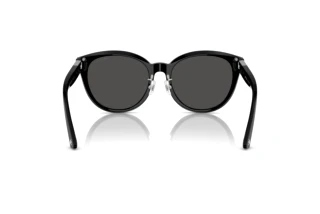 Achteraanzicht Jimmy Choo JC5032D (500087)