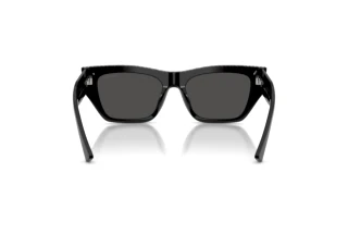 Achteraanzicht Jimmy Choo JC5035B (500087)