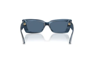 Achteraanzicht Jimmy Choo JC5037BU (507280)