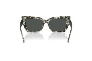 Achteraanzicht Jimmy Choo JC5041 (506887)