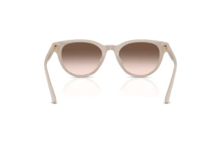 Achteraanzicht Jimmy Choo JC5043D (50333B)