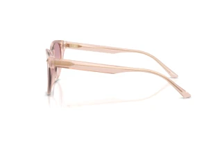 Zijaanzicht Jimmy Choo JC5043D (505268)