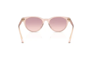 Achteraanzicht Jimmy Choo JC5043D (505268)