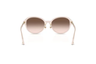 Achteraanzicht Jimmy Choo JC5044D (50253B)