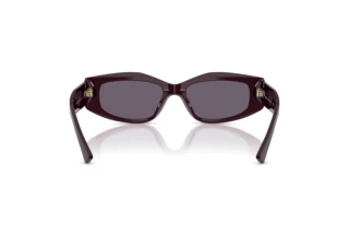 Achteraanzicht Jimmy Choo JC5046BU (50751A)