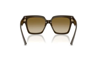 Achteraanzicht Jimmy Choo JC5047B (506013)