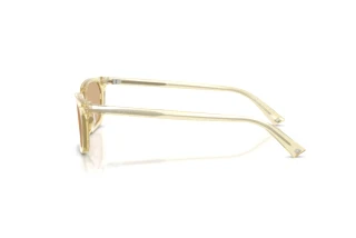 Zijaanzicht Jimmy Choo JC5050U (5083/8)