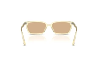 Achteraanzicht Jimmy Choo JC5050U (5083/8)
