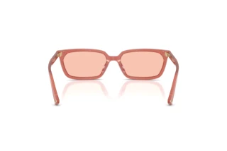 Achteraanzicht Jimmy Choo JC5050U (508484)
