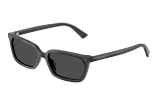 Vooraanzicht Jimmy Choo JC5050U (512287)