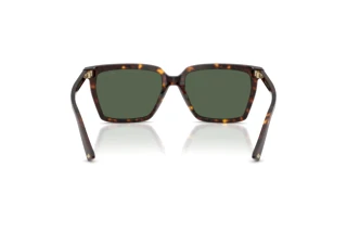Achteraanzicht Jimmy Choo JC5051 (500271)