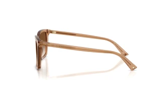 Zijaanzicht Jimmy Choo JC5051 (507613)