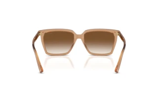 Achteraanzicht Jimmy Choo JC5051 (507613)