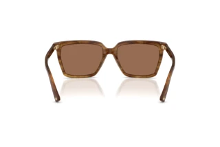 Achteraanzicht Jimmy Choo JC5051 (508573)