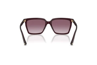 Achteraanzicht Jimmy Choo JC5051 (50866X)