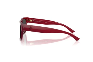Zijaanzicht Jimmy Choo JC5052U (508187)