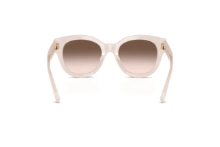 Achteraanzicht Jimmy Choo JC5053 (50253B)