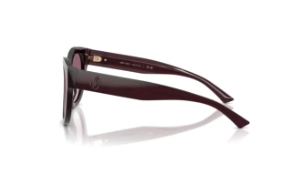 Zijaanzicht Jimmy Choo JC5053 (50866X)
