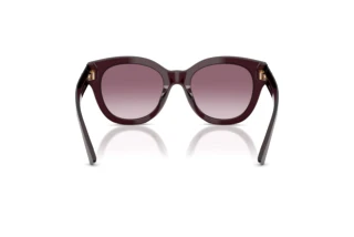 Achteraanzicht Jimmy Choo JC5053 (50866X)