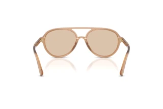Achteraanzicht Jimmy Choo JC5055U (507693)
