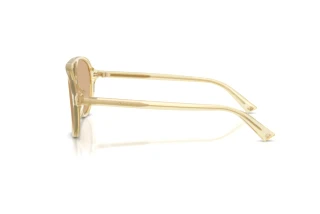 Zijaanzicht Jimmy Choo JC5055U (5083/8)