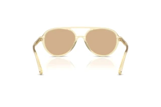 Achteraanzicht Jimmy Choo JC5055U (5083/8)
