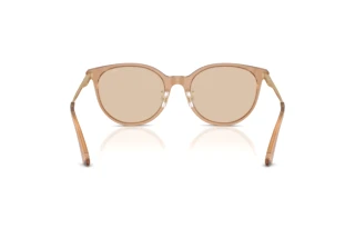 Achteraanzicht Jimmy Choo JC5056JD (507693)