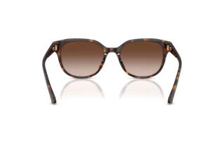 Achteraanzicht Jimmy Choo JC5057D (500213)