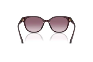 Achteraanzicht Jimmy Choo JC5057D (50866X)