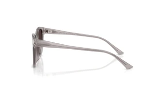 Zijaanzicht Jimmy Choo JC5057D (50968G)