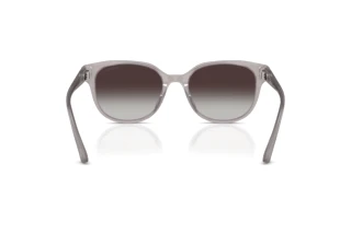Achteraanzicht Jimmy Choo JC5057D (50968G)