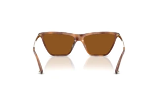 Achteraanzicht Jimmy Choo JC5059U (509673)