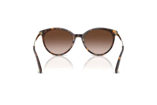 Achteraanzicht Jimmy Choo JC5060 (500213)