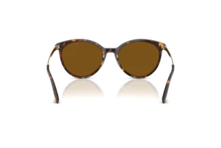 Achteraanzicht Jimmy Choo JC5060 (500283)