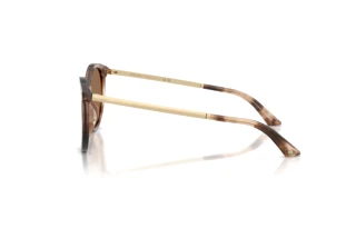 Zijaanzicht Jimmy Choo JC5060 (509773)