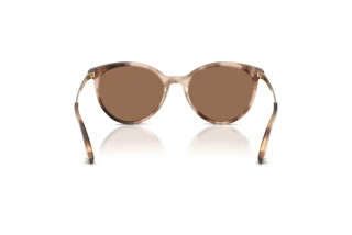Achteraanzicht Jimmy Choo JC5060 (509773)