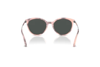Achteraanzicht Jimmy Choo JC5060 (509887)