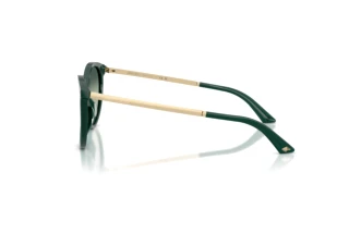 Zijaanzicht Jimmy Choo JC5060 (510019)