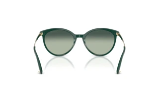 Achteraanzicht Jimmy Choo JC5060 (510019)