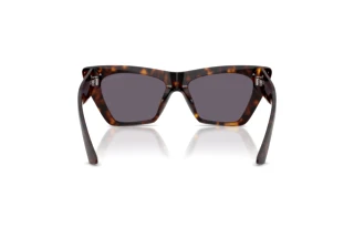 Achteraanzicht Jimmy Choo JC5062U (50021A)