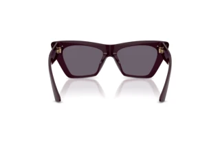 Achteraanzicht Jimmy Choo JC5062U (50751A)