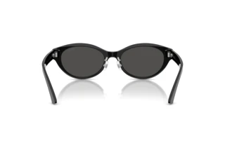 Achteraanzicht Jimmy Choo JC5064D (500087)