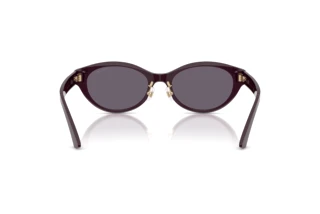 Achteraanzicht Jimmy Choo JC5064D (50751A)