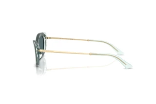 Zijaanzicht Jimmy Choo JC5065U (510487)