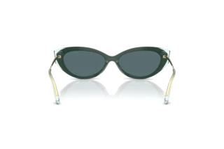 Achteraanzicht Jimmy Choo JC5065U (510487)